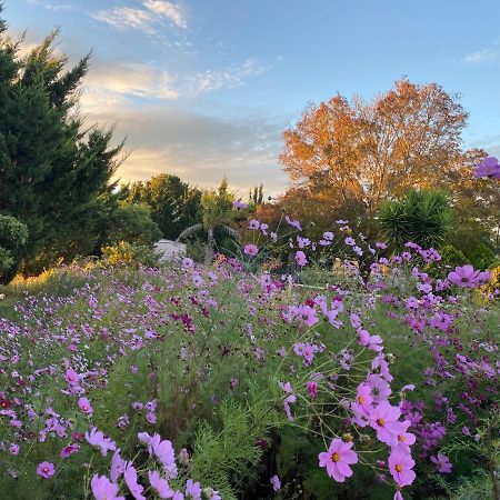 Melbourne Garden Bed And Breakfast Melton South Exterior photo